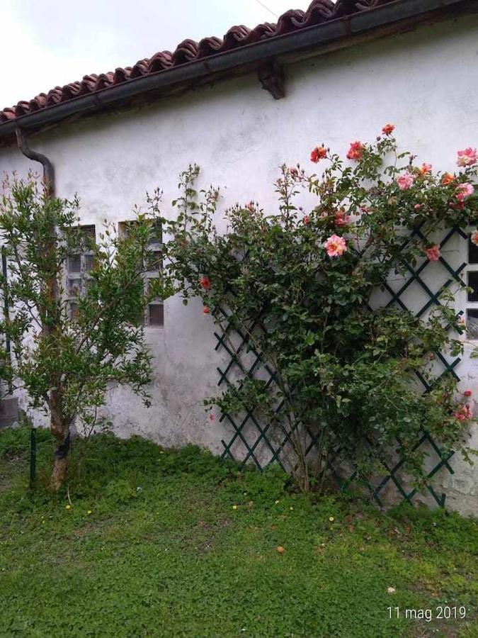 Beb Infamiglia Cascinette Exterior foto